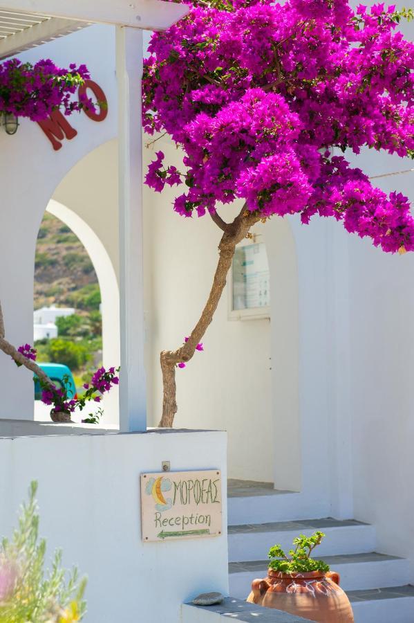 Morpheas Pension Rooms & Apartments Kamares  ภายนอก รูปภาพ